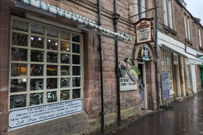 loch-lomond-highland-cows-victorian-town-half-day-tour