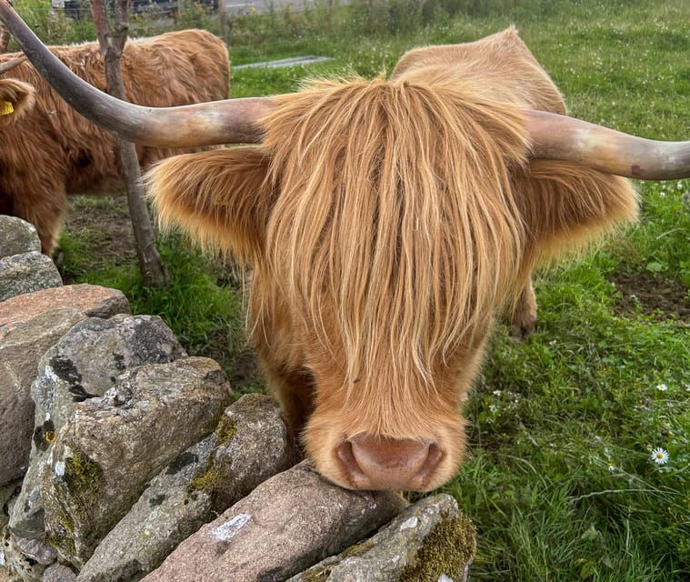 loch-lomond-stirling-castle-and-the-kelpies-private-tour
