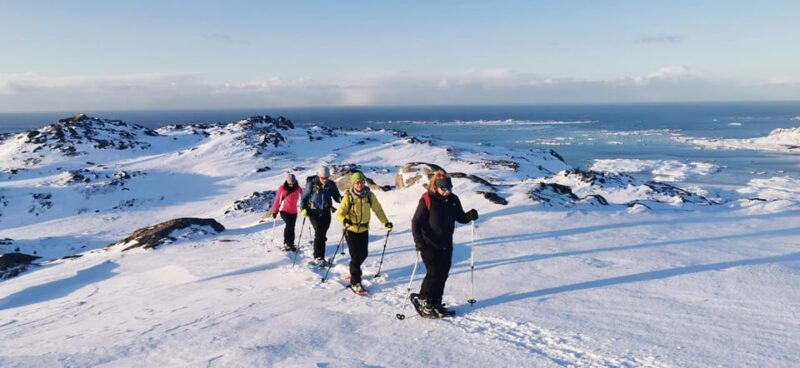 lofoten-half-day-snowshoe-tour
