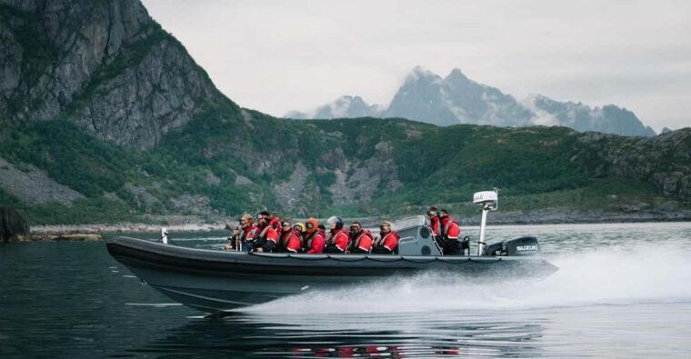 lofoten-trollfjord-sea-eagle-safari-by-rib-boat