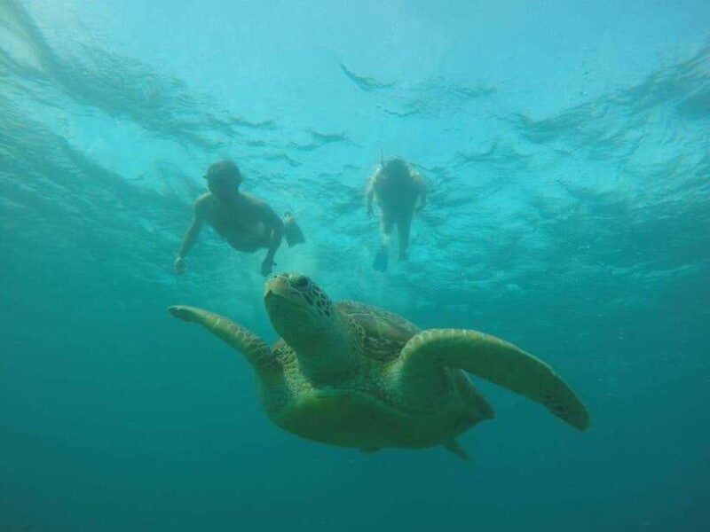 lombok-4-day-sea-nomad-adventure-to-labuan-bajo