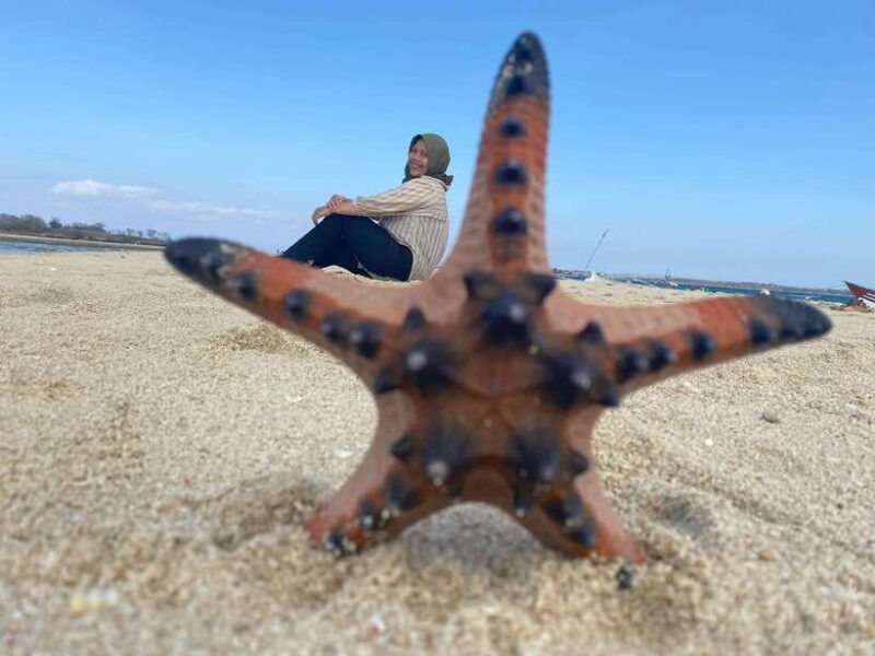 lombok-pink-beach-adventure-and-3-gilis