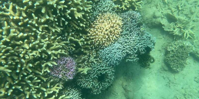 lombok-private-day-trip-snorkeling-in-secret-island