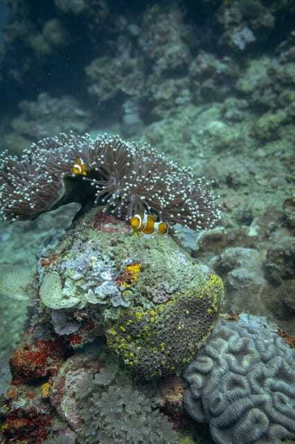 lombok-secret-gili-islands-snorkeling-tour
