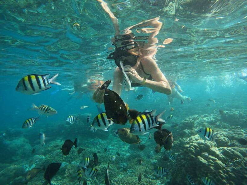 lombok-snorkeling-to-gili-nanggu-sudak-kedis-private