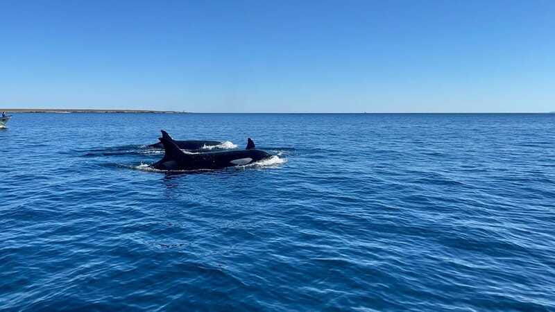 loreto-paddleboard-rental-service