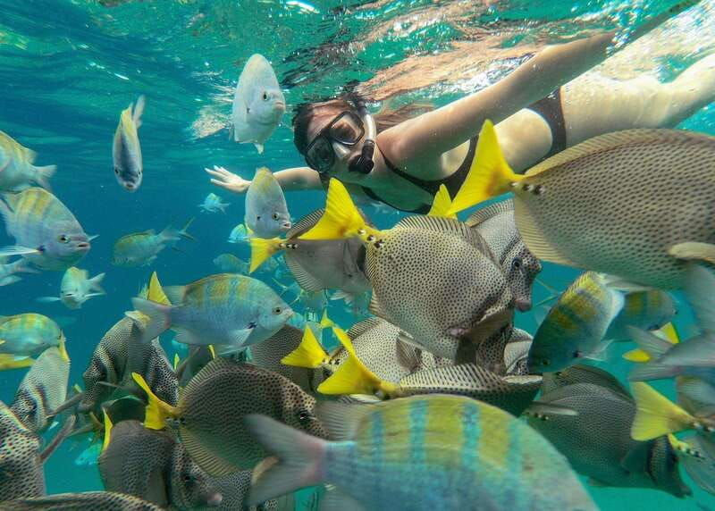 los-cabos-arch-lovers-beach-tour-snorkeling-tour
