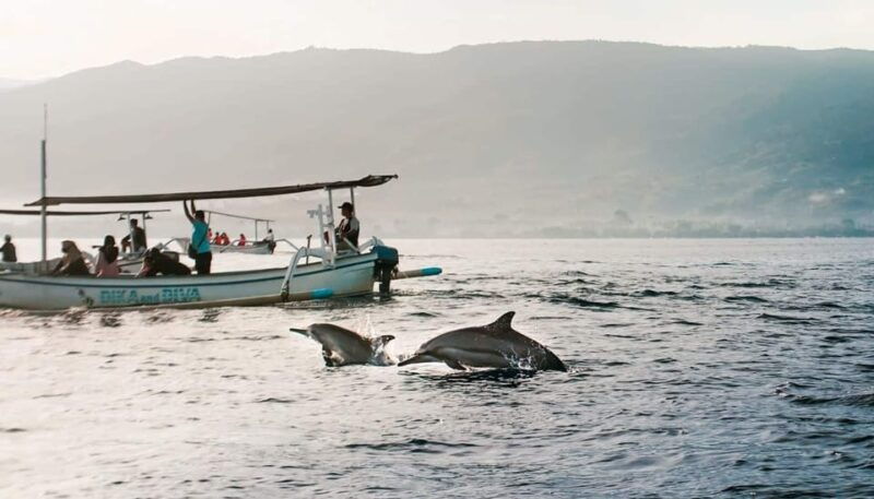 lovina-bali-sunrise-dolphin-watching-swim-and-snorkeling