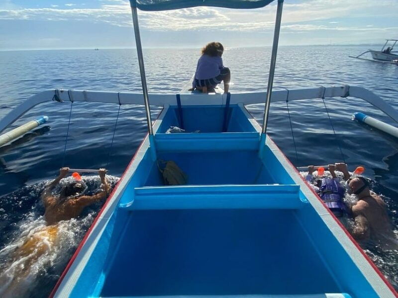 lovina-dolphin-watching-swimming-with-dolphin-private-tour