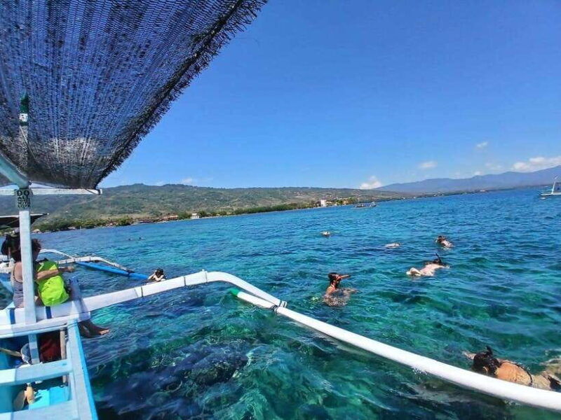 lovina-special-full-trip-dolphin-watch-swim-and-snorkel