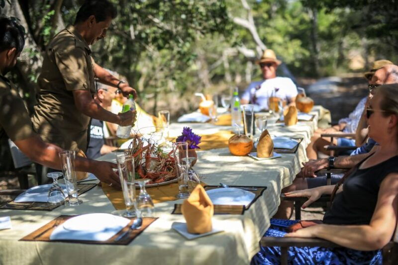 luxury-camping-and-safari-experience-in-yala-park