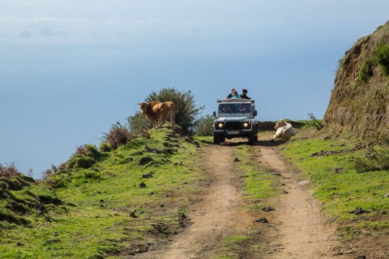 madeira-amazing-west-porto-moniz