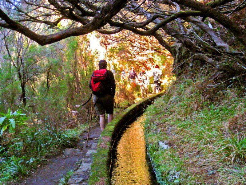 madeira-enjoy-a-guided-levada-walk-in-the-rabacal-valley