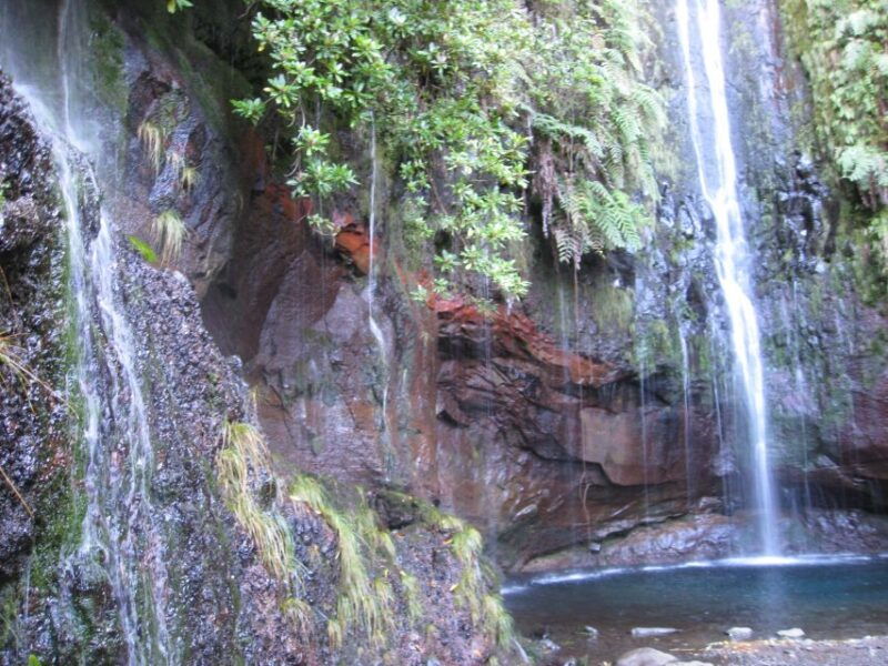 madeira-guided-full-day-rabacal-walk