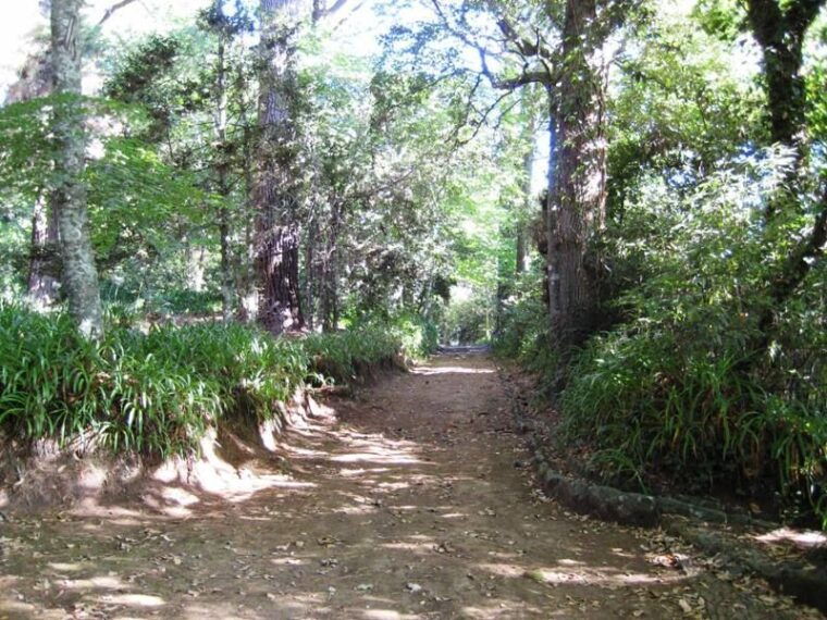 madeira-paradise-valley-levada-walk
