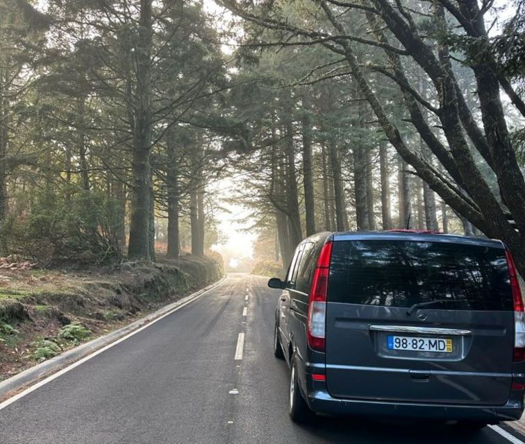 madeira-western-madeira-guided-trip-fanal-mystic-forest
