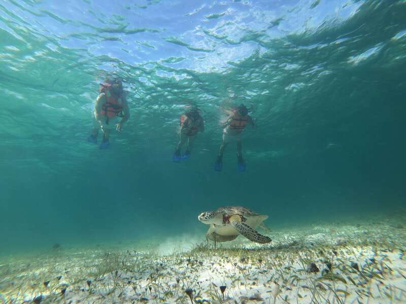 mahahual-snorkel-tour-in-reef-lagoon