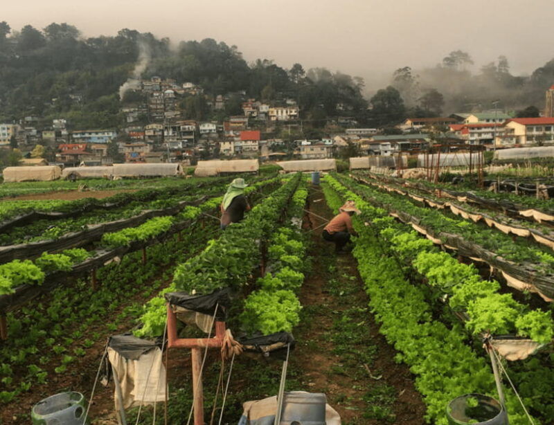 manila-3-day-sagada-baguio-banaue-rice-terraces-tour