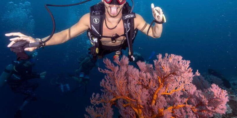 manta-dive-gili-trawangan-discover-scuba-diving