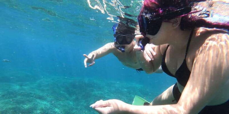 manta-tour-in-nusa-lembongan-and-nusa-penida