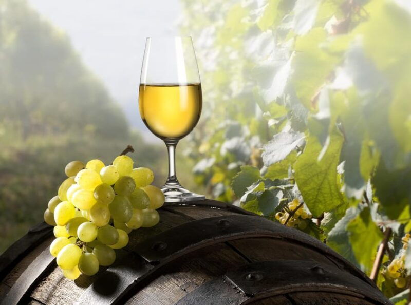 maribor-styria-tour-with-wine-tasting