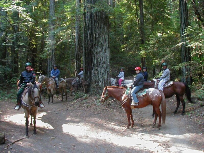 marmaris-horse-riding-experience-with-transfer