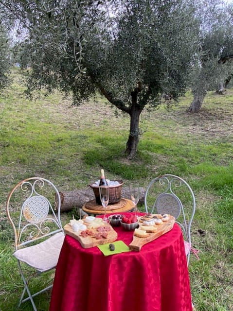 matera-aperitif-truffles-and-champagne-under-the-olive-tree