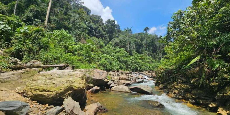 medan-7-day-bukit-lawang-orangutan-exploration-package