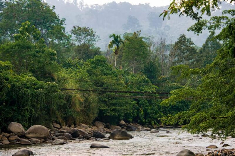 medan-in-the-jungle-of-mount-leuser-national-park-day-trip