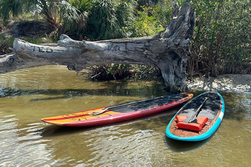 merritt-island-manatee-watching-paddle-or-kayak-tour