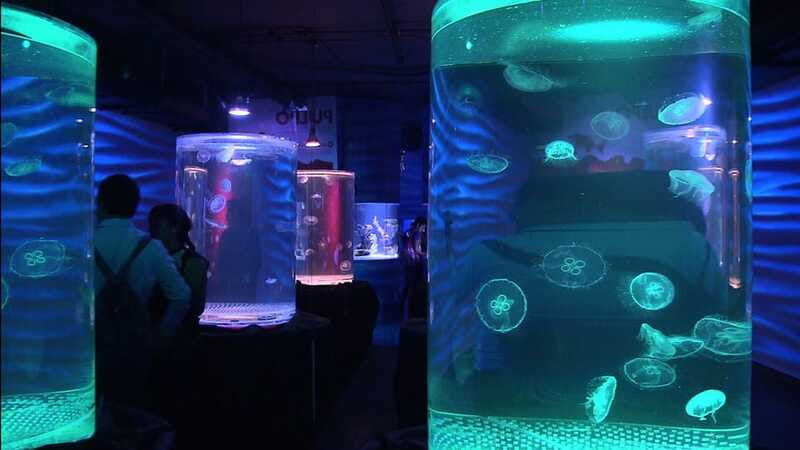 mexico-city-inbursa-aquarium-tour-with-transportation