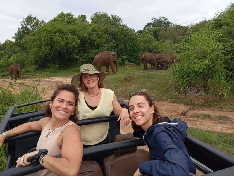 minneriya-national-park-half-day-safari-morning-or-evening