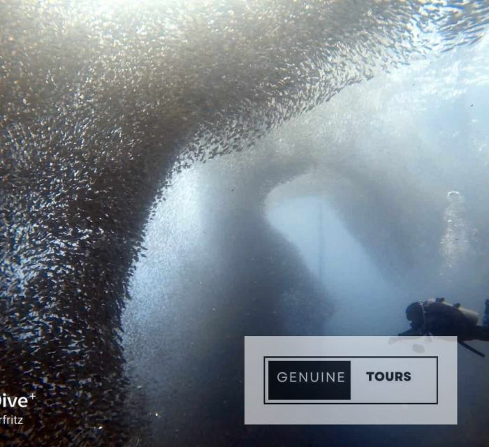 moalboal-scuba-diving-w-sardine-and-turtlesno-other-guest