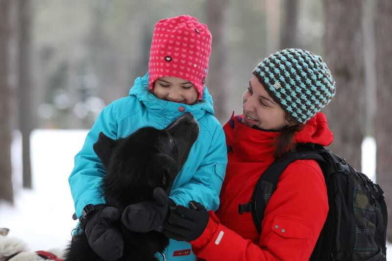 mont-tremblant-guided-dogsledding-tour-with-hot-chocolate