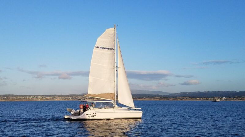 monterey-catamaran-sailing-cruise