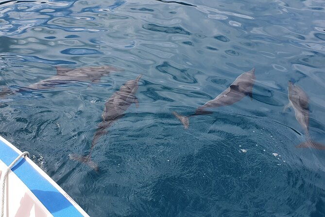 Moorea Lagoon Tour with Lunch - FAQ