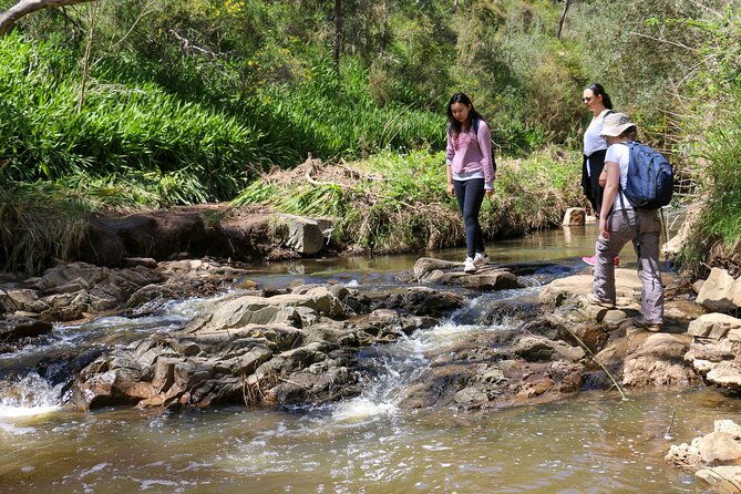 Morialta Wilderness and Wildlife Hike - Final Thoughts