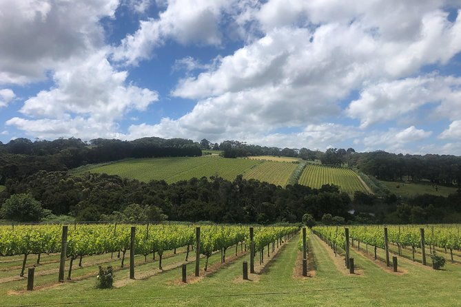 Mornington Peninsula Winery Tour - Lunch Included - Who Will Love This Tour?