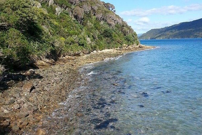 Motuara Island Bird Sanctuary and Ship Cove Cruise from Picton - Frequently Asked Questions  
