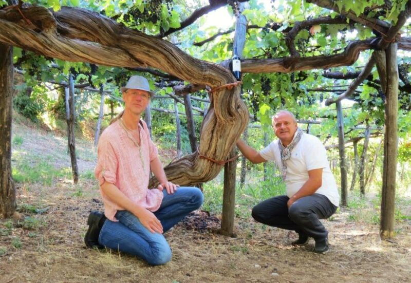 mountains-and-vineyards-the-secrets-of-the-coast-in-calesse-2