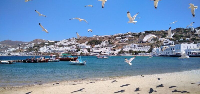 mykonos-highlights-tour-with-panagia-tourliani-monastery