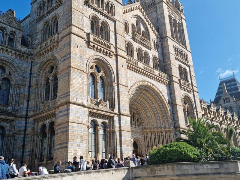 natural-museum-diplodocus-volcanoes-whale-and-gems