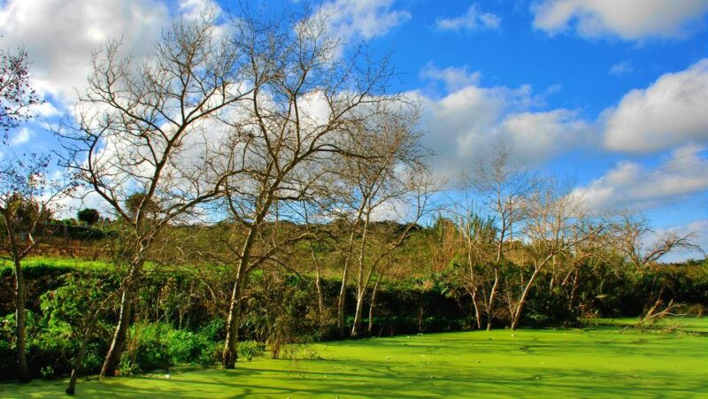 nature-highlights-private-walking-tour-with-transport