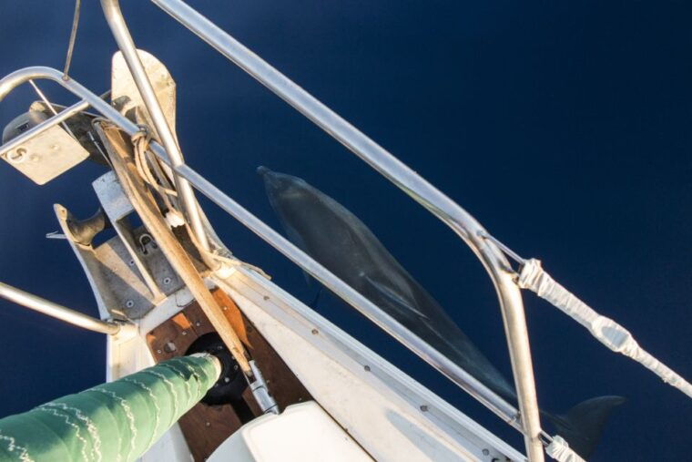 naxos-full-day-small-cyclades-sailing-cruise