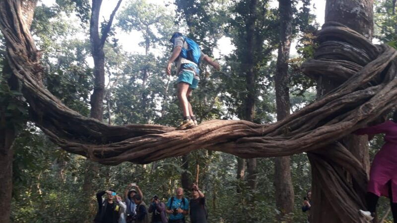nepal-chitwan-national-park-3-day-jungle-tower-stay