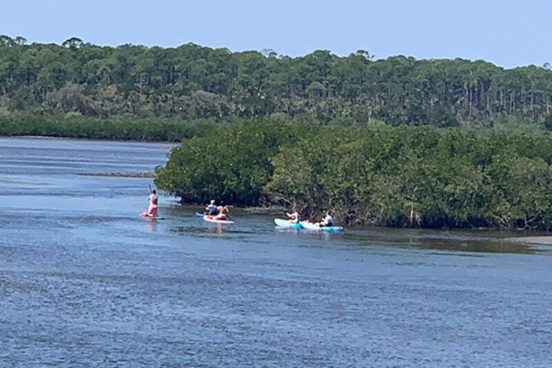 new-smyrna-half-day-guided-sup-or-kayak-waterways-tour