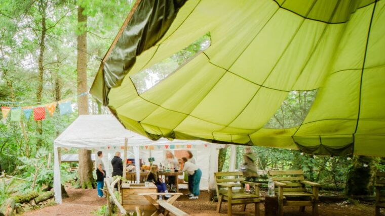 newquay-surf-yoga-woodland-wild-camp