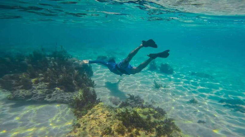 nha-trang-scuba-diving-and-eco-tourism-island-day-trip