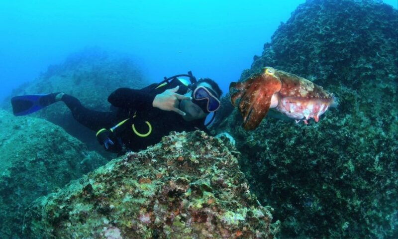 nha-trang-scuba-diving-experience-for-certified-dive