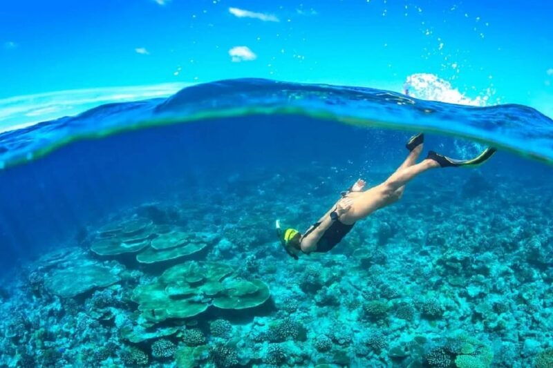 nha-trang-snorkleing-bbq-fishing-mini-beach